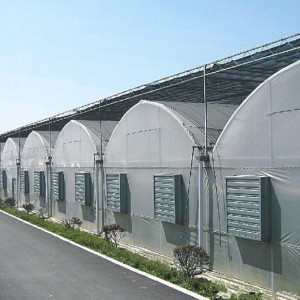 Multi-Span Gothic Film Greenhouse FM80f40
