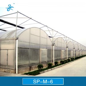 6m Span Multi-Span Plastic Greenhouse
