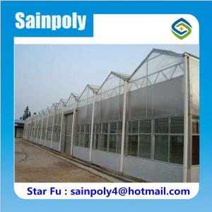 Large Best Quality PC-Sheet Greenhouse for Sale
