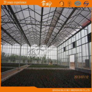 Durable Venlo Type Multi-Span Greenhouse for Agricultural Planting