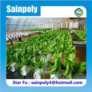 China Supplier Hydroponic Greenhouse for Sale