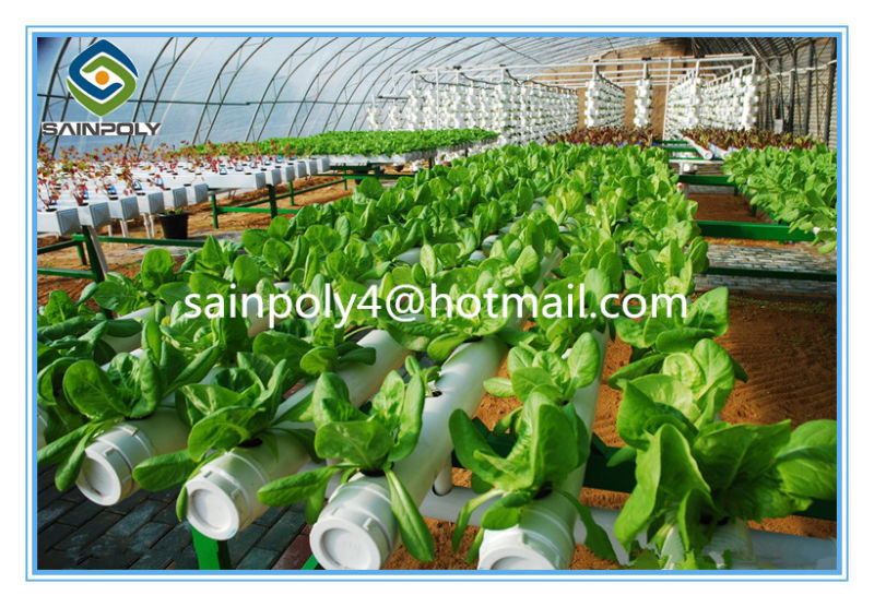 China Supplier Hydroponic Greenhouse for Sale