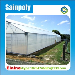 Agriculture Plastic Film for Greenhouse