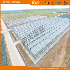 Venlo Type Multi-Span Greenhouse for Agricultural Planting