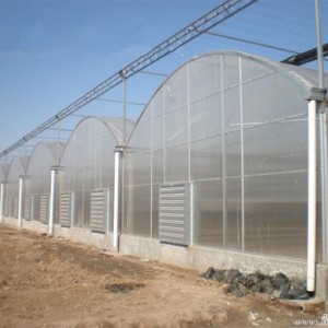 Multi-Span Gothic PC Greenhouse FM80P40