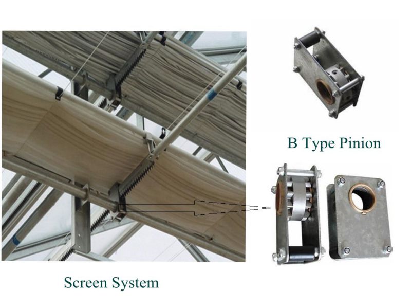 B Type Screen Pinion in Greenhouse Screening System