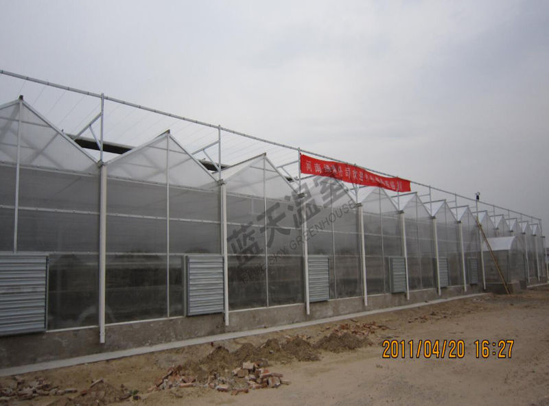 Multi-Span Polycarbonate Sheet Greenhouse
