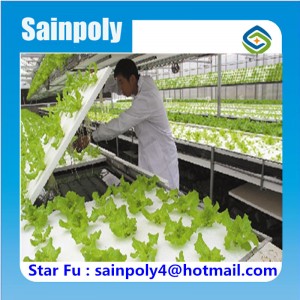 Best Vegetable Growing Hydroponic Greenhouse for Sale