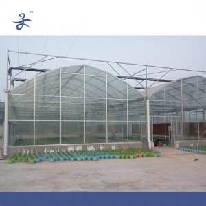 Large10m Span Film Greenhouse for Agricultural