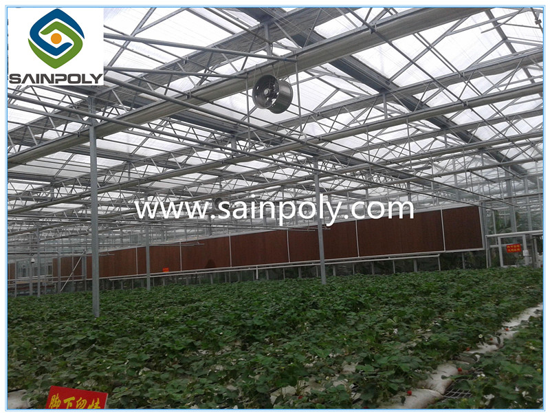 Large Best Quality PC-Sheet Greenhouse for Sale