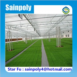 Sainpoly Brand Best Selling PC Greenhouse for Vegetable