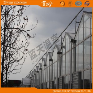 High Quality Venlo Type Multi-Span Greenhouse for Agricultural Planting