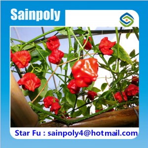 China Best Selling PC Greenhouse for Flower