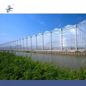 Venlo PC Hydroponic Greenhouse