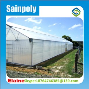 Hydroponics Agriculture Plastic Film Greenhouse