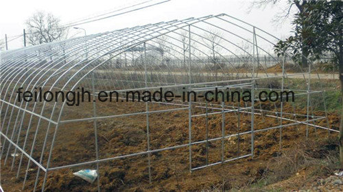 Single Span Tunnel Film Greenhouse