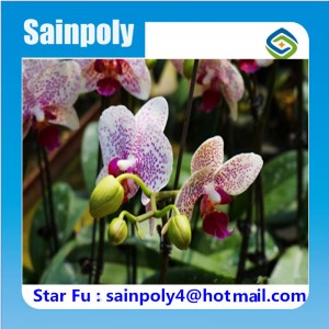 China Manufacturer Flower Used PC Greenhouse for Sale
