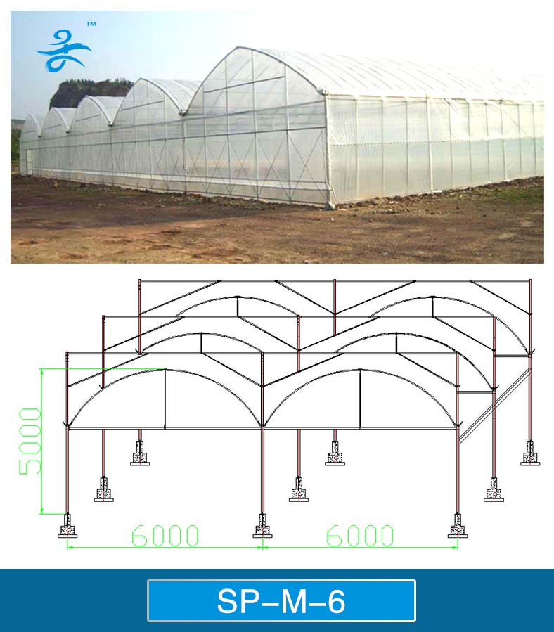 6m Span Multi-Span Plastic Greenhouse