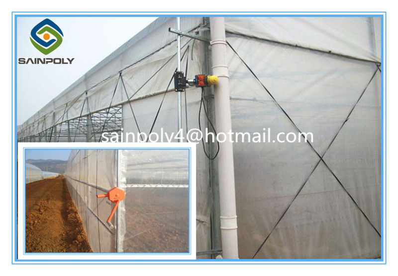 Large Size Multi-Span Film Greenhouse for Grape