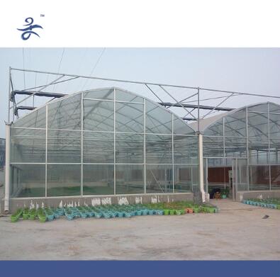 Large10m Span Film Greenhouse for Agricultural