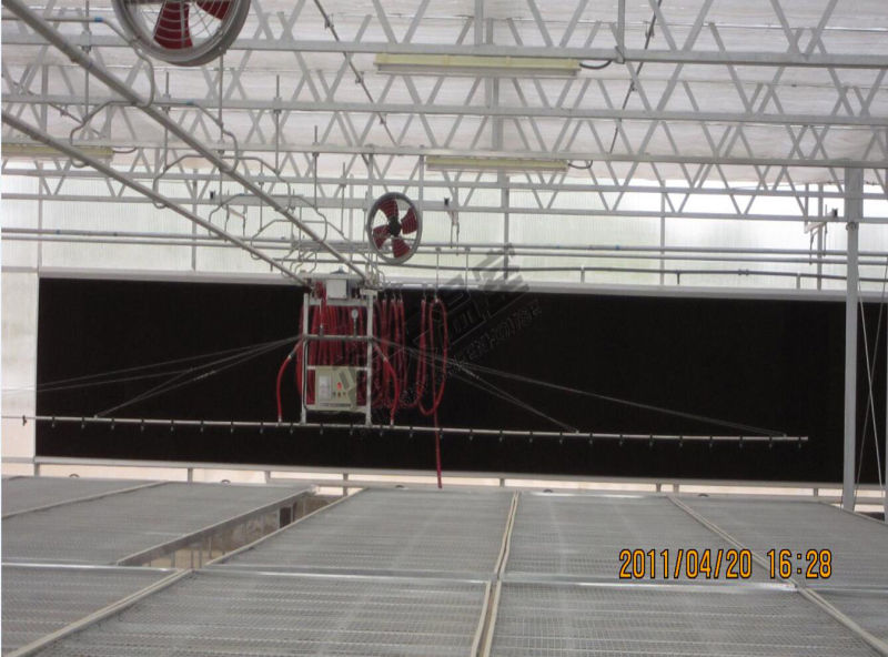 Multi-Span Polycarbonate Sheet Greenhouse