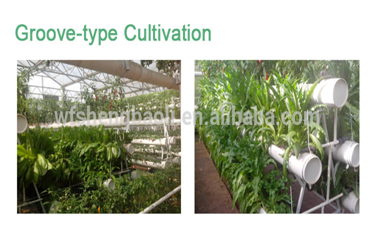 Best Vegetable Growing Hydroponic Greenhouse for Sale