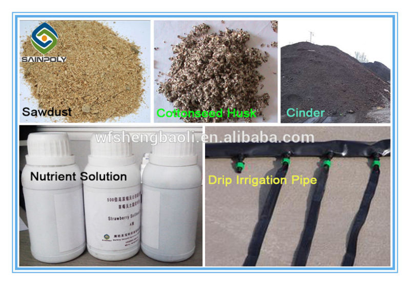 China Supplier Hydroponic Greenhouse for Sale