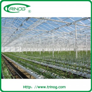High tech glass greenhouse for hydroponics cultivation
