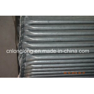 High Quality Greenhouse Steel Structure with 275G/M2 for Long Life Guarantee