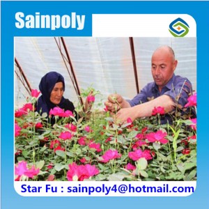 China Manufacturer Flower Use Film Greenhouse for Sale