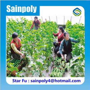 2016 Factory New Design Solar Greenhouse for Cucumber