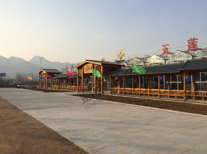 PC Shteet Greenhouse