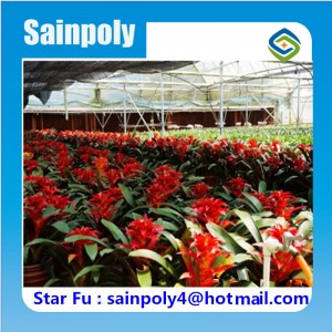 World Best Selling Flower Used PC Greenhouse