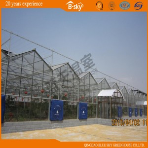 Beautiful Multi-Span Glass Greenhouse with Long Life-Span