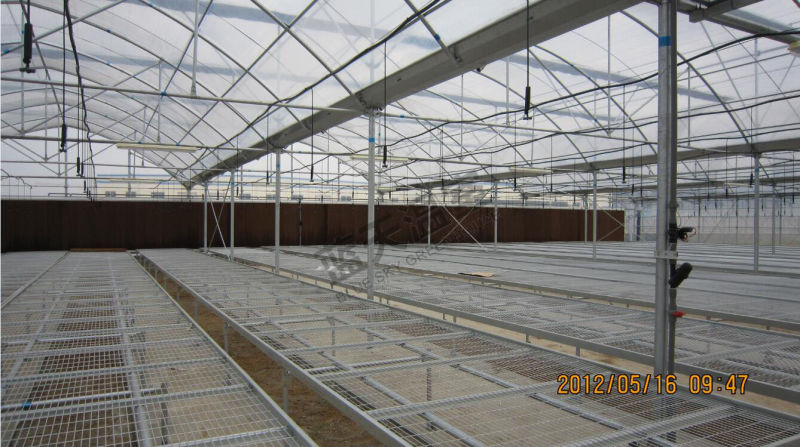 Good Heat Insulation Performance Film Greenhouse for Seeding