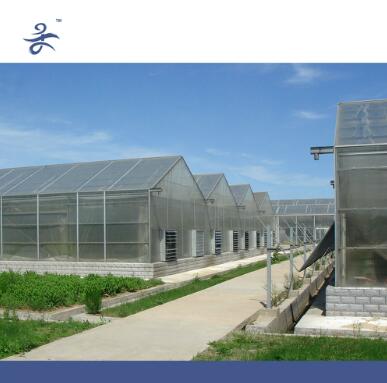 Venlo PC Agricultural Greenhouse