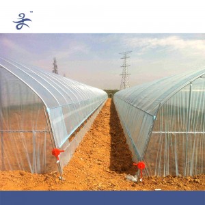 Sp-S-8 Large Tunnel Plastic Agricultural Greenhouse