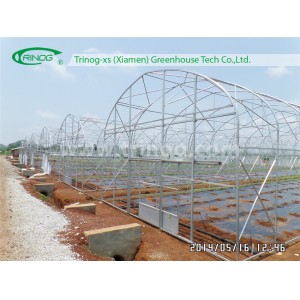 Galvanized Steel Structure Tunnel Greenhouse