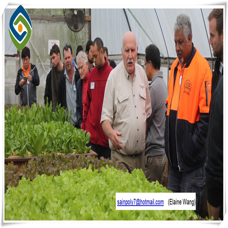 China Supplier Multi-Span Plastic Film Agricultural Greenhouse for Sale