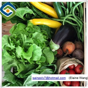 Plastic PE Film Greenhouse Hot Sale for Agriculture