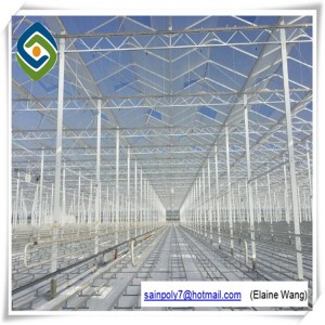 Aluminum Frame Tunnel Glass Greenhouse Single Span with Automatic Ventilation