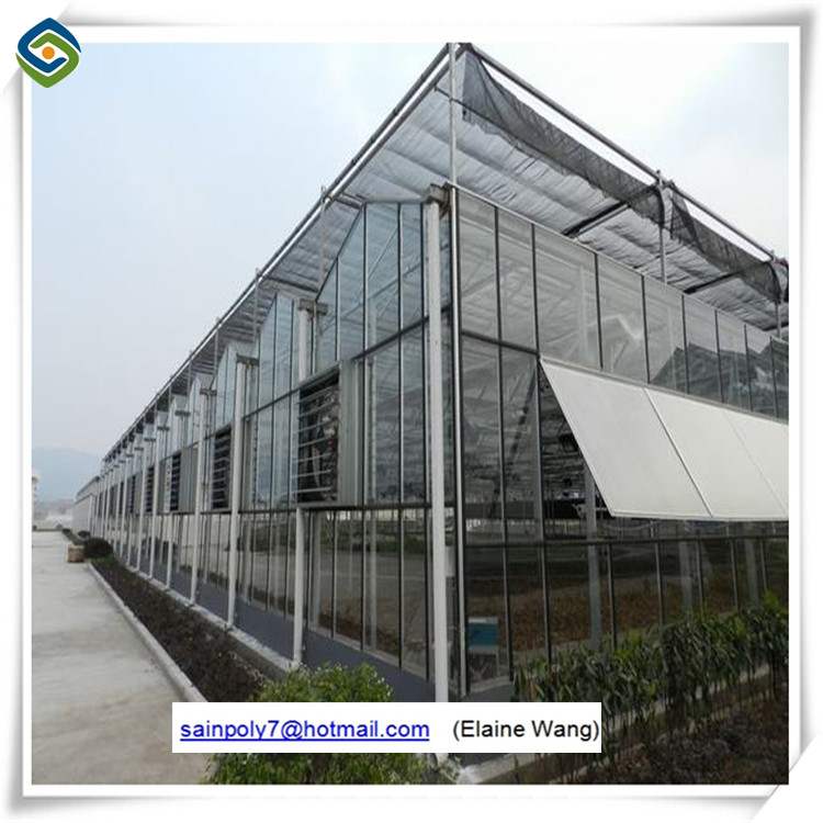 Professional Galvanized Steel UV Treated Plastic Film Greenhouse