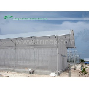 Insect net side cover Greenhouse for hot weather