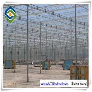 Venlo Roof Tunnel Glass Greenhouse Commercial Green House Manufacturer