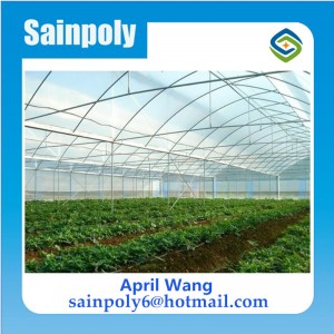 Plastic Tomato Greenhouse Hidroponica for Sale