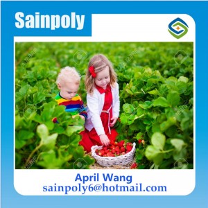 Low Price and Easily Installed Glass Multi-Span Venlo Greenhouse for Sale