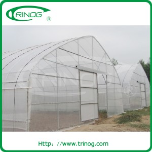Economic Commercial Tunnel Plastic Greenhouse for Tomato Growing