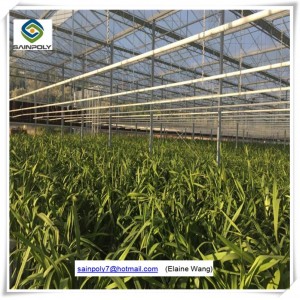 China Low Cost Prefabricated Frame Glass Greenhouse with Hydroponic Systems