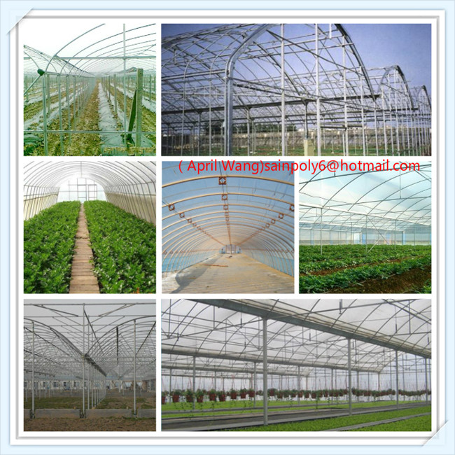 Selling Used Plastic Film Agricultural Greenhouse