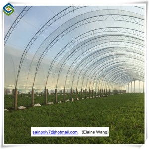 China Supplier Multi-Span Plastic Film Agricultural Greenhouse for Sale